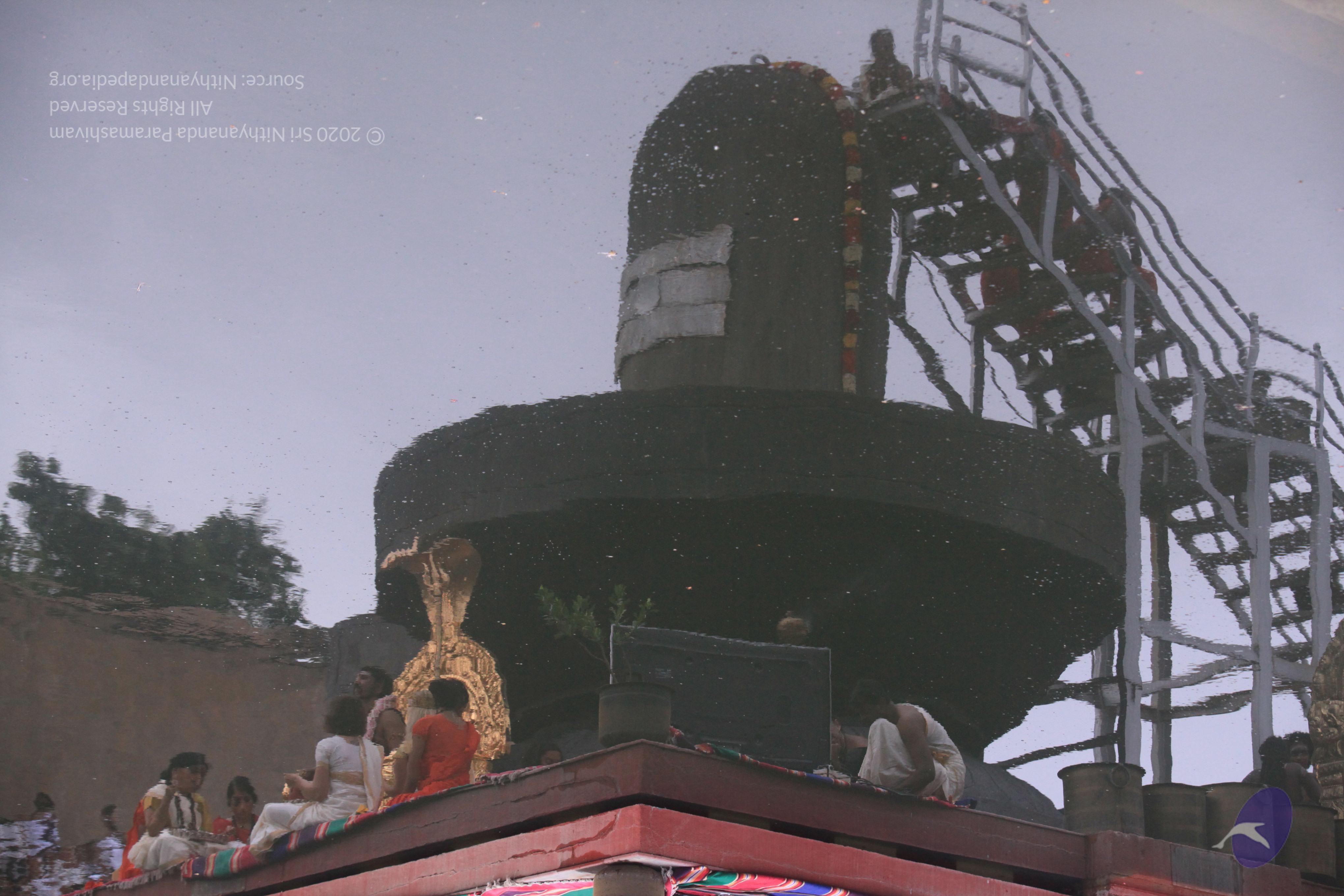 20170529_Photo_1003_IMG_8804_CMP_WM